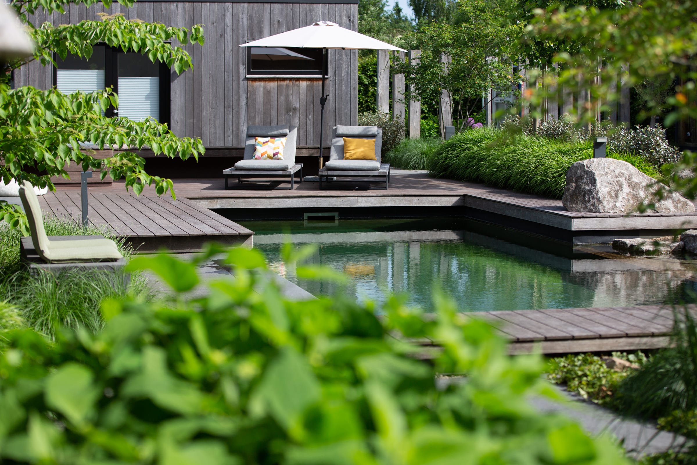 Naturpool mit Holzdeck, Liegen und naturnaher Bepflanzung